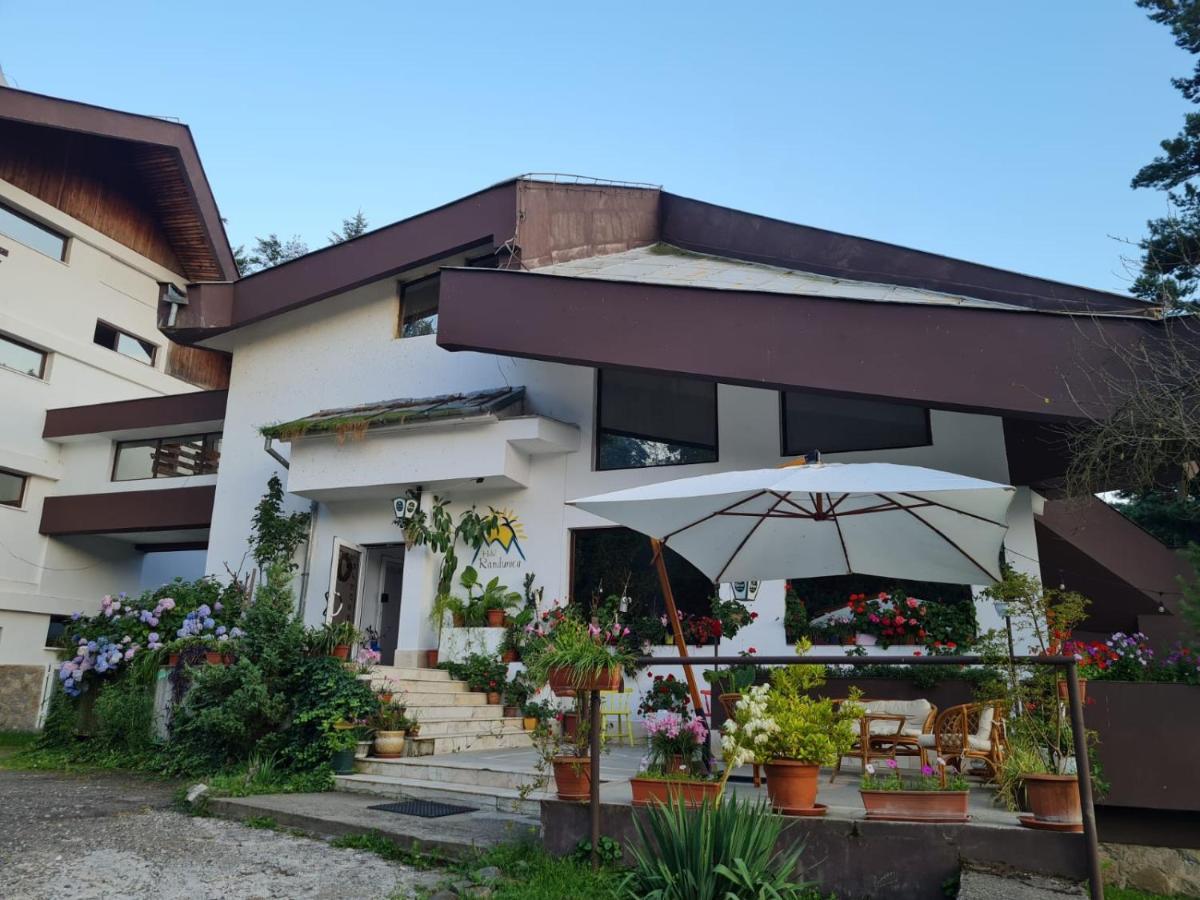 Hotel Randunica Văliug Exterior foto